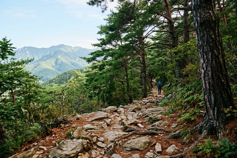 오늘 산에 다녀왔어요 경치가 좋았습니다